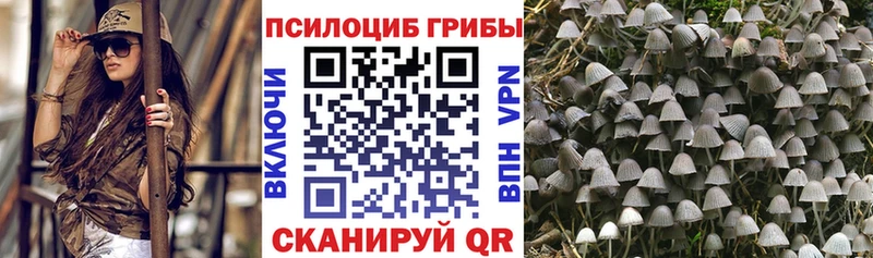 Псилоцибиновые грибы ЛСД  блэк спрут зеркало  Сысерть  купить закладку 